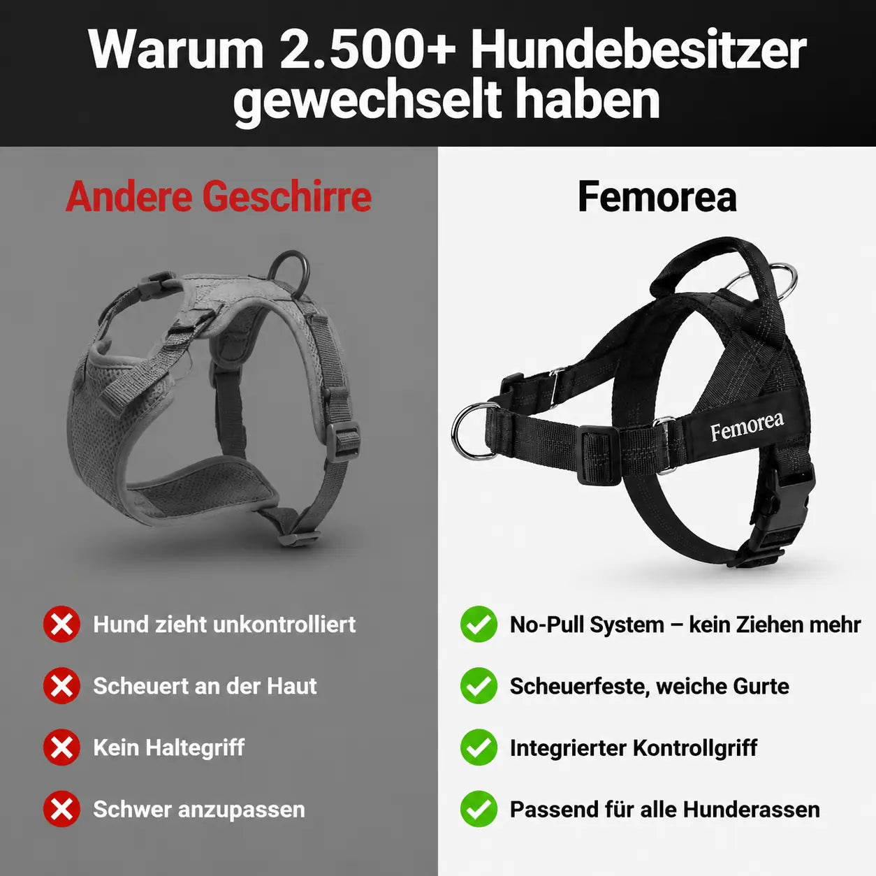Custom No-Pull Harness