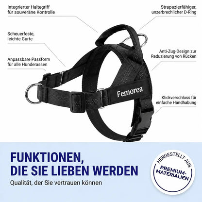 Custom No-Pull Harness