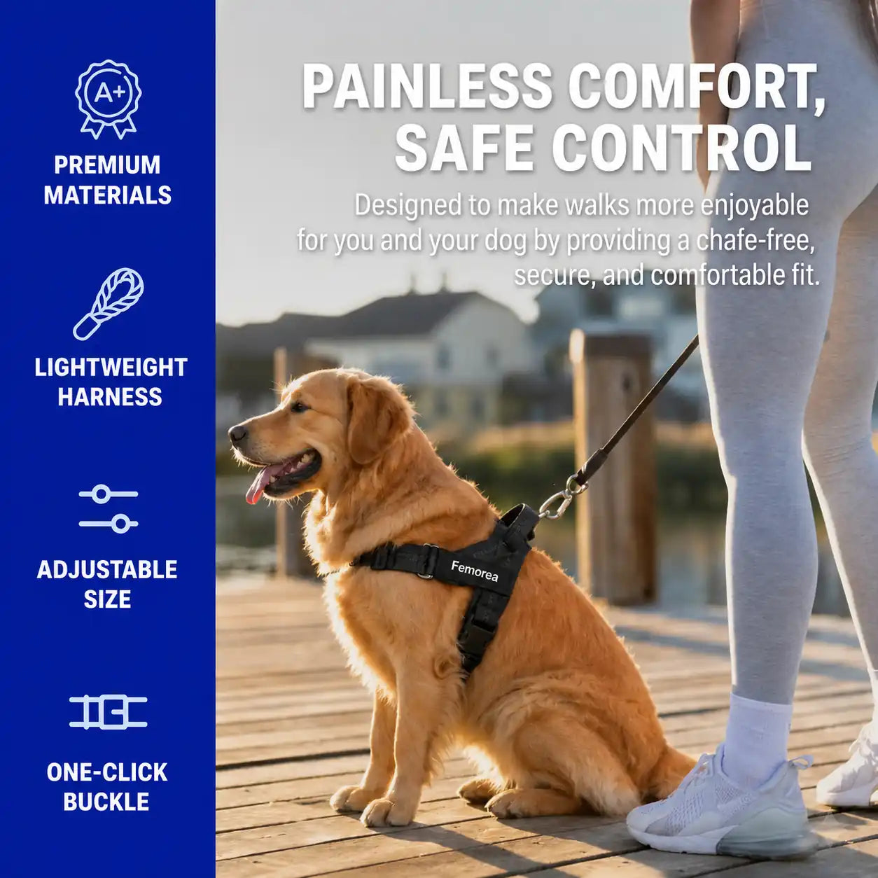Custom No-Pull Harness