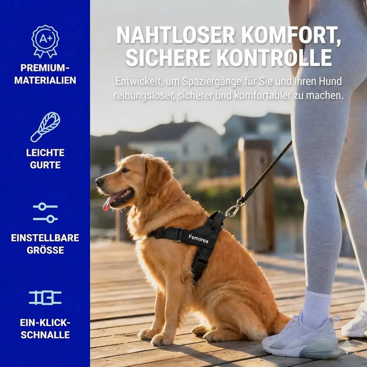 Custom No-Pull Harness